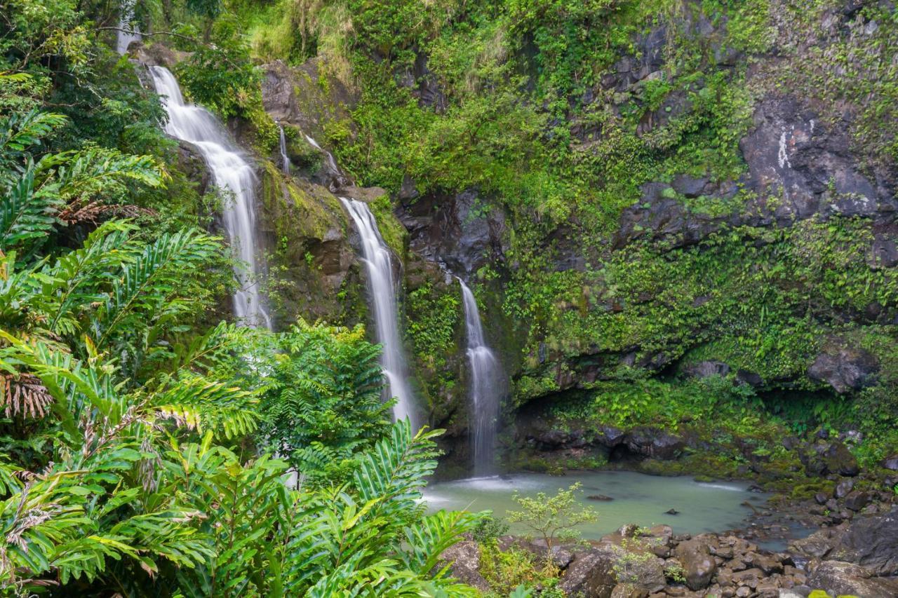 Kaleialoha 213 Villa Lahaina Eksteriør billede